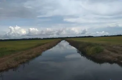 Fazenda com 77 alqueires para agricultura irrigada em lagoa da confusão - to