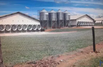 Excelente fazenda com granja completa de suinos e aves dupla aptidão em monte alegre de minas - mg