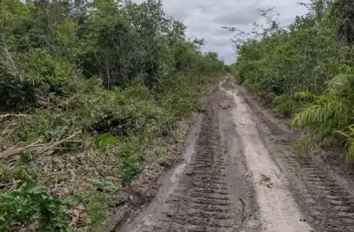 Fazenda com 2.900 alqueires de área bruta dupla aptidão no município de coelho neto - ma