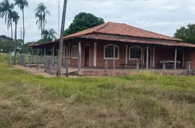 Fazenda à venda na Estrada Vicinal Municipal De Tesouro, Km 17, Zona Rural, Tesouro