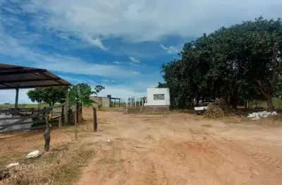 Fazenda de 12 alqueires para agricultura em monte alegre de minas-mg