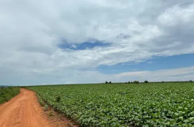Fazenda à venda na Estrada Vicinal Municipal De Corumbaíba, km 5, Zona Rural, Corumbaíba
