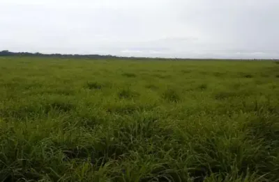 Fazenda com 156 alqueires dupla aptidão no município de fortaleza do tabocão - to