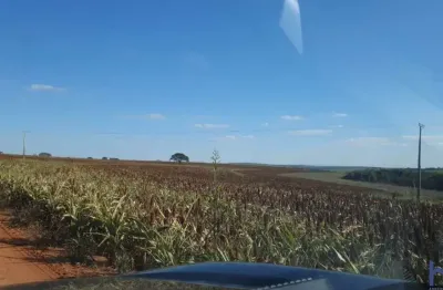 Fazenda à venda na Estrada Vicinal Municipal De Uberlândia, kM 9, Área Rural de Uberlândia, Uberlândia