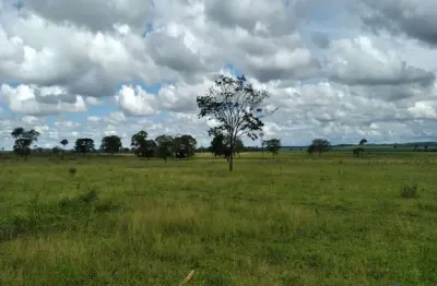 Fazenda dupla aptidão 60 alqueires em limeira do oeste - mg