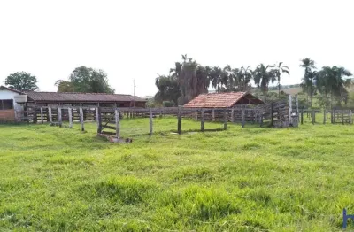 Fazenda com 45 alqueires de dupla aptidão em campina verde-mg