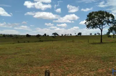 Fazenda de dupla aptidão com 40 alqueires em carneirinho-mg