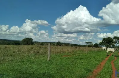 Fazenda de dupla aptidão com 59 alqueires em campina verde-mg
