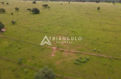 Sitio com 14 alqueires de dupla aptidão em campina verde-mg