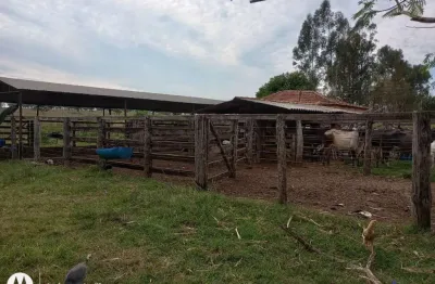 Fazenda à venda na Estrada Rural De União De Minas, KM 13, Zona Rural, União de Minas