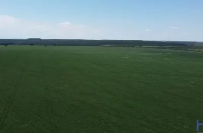 Ótima fazenda para agricultura com 120 alqueires no prata-mg