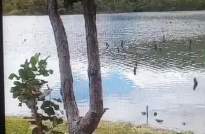 Fazenda à venda na Estrada Vicinal Municipal De Minaçu, Km 16,8, Zona Rural, Minaçu