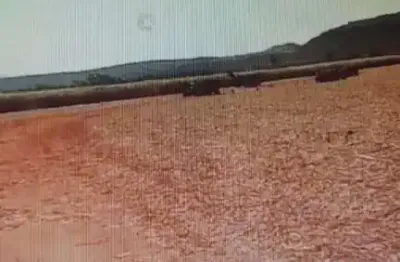 Oportunidade fazenda 36 alqueires dupla aptidão comendador gomes-mg