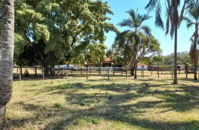 Fazenda à venda na Estrada Vicinal Municipal Do Prata, km 10.5, Zona Rural, Prata