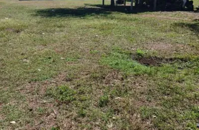 Fazenda à venda na Estrada Vicinal Municipal De Santa Maria Do Tocantins, Km 10, Zona Rural, Santa Maria do Tocantins