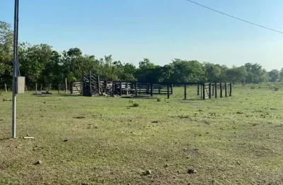 Fazenda com 46 alqueires de dupla aptidão em dueré-to