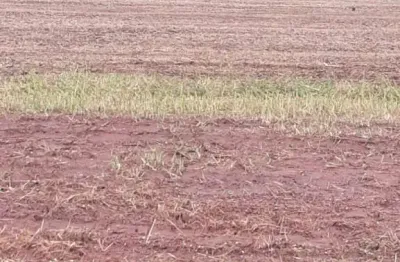 Excelente fazenda de dupla aptidão com 450 alqueires em montividiu-go