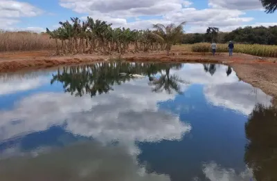 Ótima fazenda produtiva para agricultura com 350 alqueires em água fria de goiás-go