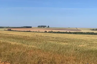 Fazenda com 116 alqueires para agricultura irrigada em guarda mor-mg