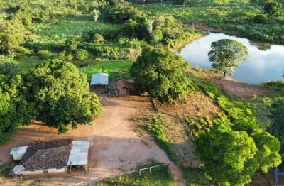 Fazenda de dupla aptidão com 36 alqueires em palmeirópolis-to