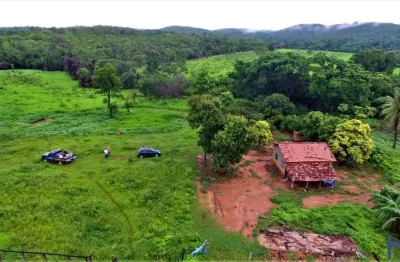 Fazenda com 55 alqueires de dupla aptidão em palmeirópolis-to