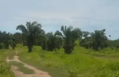 Fazenda com 355 alqueires de dupla aptidão no vale do araguaia em goiás