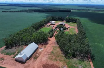 Fazenda para agricultura com 765 alqueires em são josé do xingu-mt