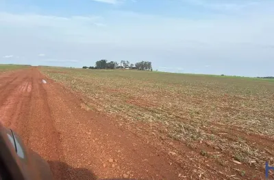 Fazenda com 785 alqueires para agricultura na região de sinop-mt