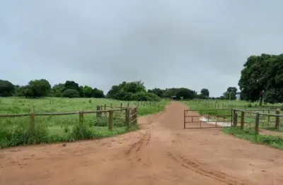 Fazenda com 580 alqueires de dupla aptidão em jussara-go