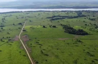 Fazenda de 412 alqueires de dupla aptidão margem do rio araguaia em ananás-to
