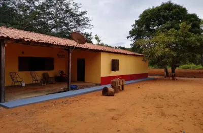 Fazenda com 3.200 alqueires de dupla aptidão em alto parnaíba-ma