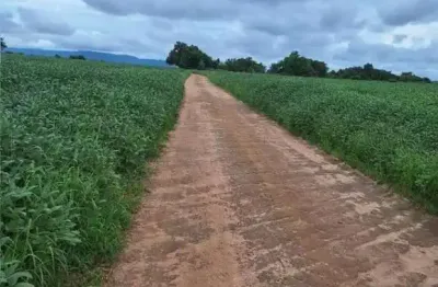 Fazenda com 150 alqueires para agricultura em brejinho de nazaré-to