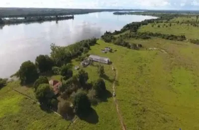 Fazenda com 205 alqueires dupla aptidão no municípío de bernardo sayão - to