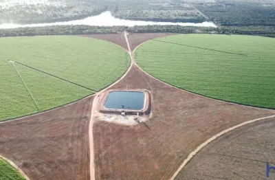 Fazenda com 200 alqueires para agricultura de precisão irrigada em paracatu-mg