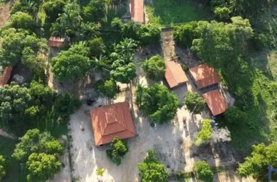 Fazenda de dupla aptidão com 450 alqueires em parnarama-ma