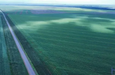 Fazenda com 1.160 alqueires para agricultura em diamantino-mt