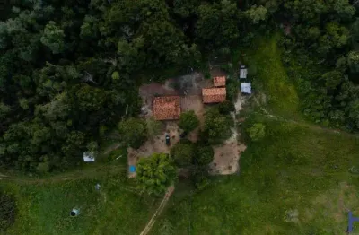Fazenda de dupla aptidão com 923 alqueires em pium-to