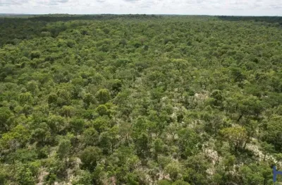 Fazenda bruta de dupla aptidão com 7.850 alqueires em corrente-pi