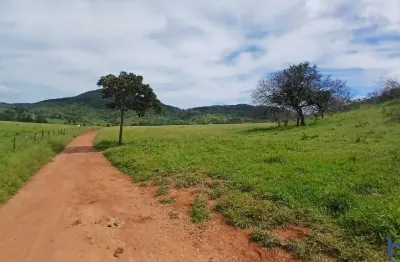 Fazenda à venda na Estrada Vicinal Municipal De Trombas, Km 18, Zona Rural, Trombas
