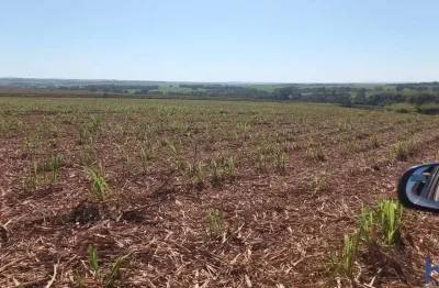Fazenda com 50 alqueires de dupla aptidão com cana arrendada em conceição das alagoas-mg