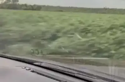 Fazenda com 27 alqueires para agricultura arrendada para soja em conceição das alagoas-mg