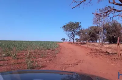 Fazenda com 150 alqueires em plantio de cana arrendada em uberaba-mg