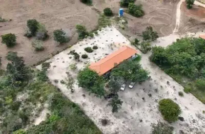 Fazenda de dupla aptidão com 1.160 alqueires em alto araguaia-mt