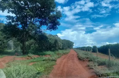Fazenda à venda na Estrada Vicinal Municipal De Uberlândia, Km 1, Área Rural de Uberlândia, Uberlândia