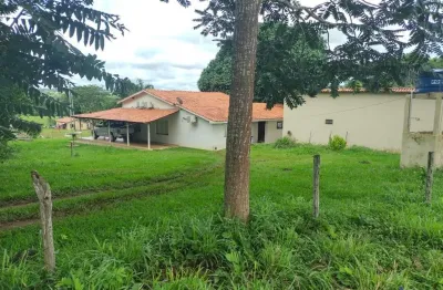 Fazenda dupla aptidão com 1.401 alqueires em feira nova do maranhão - ma