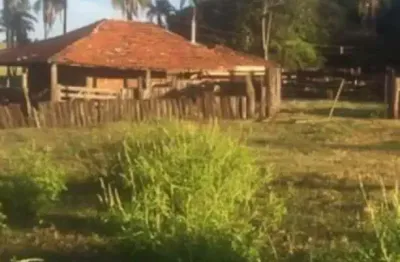 Fazenda de dupla aptidão com 37 alqueires em santa vitória-mg