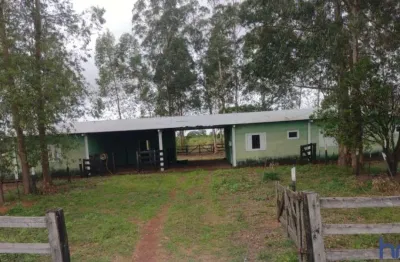 Fazenda com 2.850 alqueires de dupla aptidão em santo antônio do leste-mt