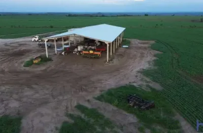 Fazenda de dupla aptidão com 500 alqueires em parnarama-ma