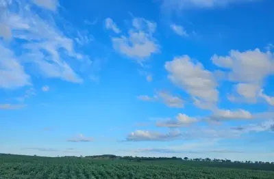 Fazenda com 100 alqueires para lavouras em campina verde-mg