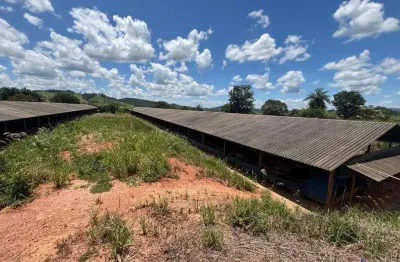 Fazenda com 20 alqueires com granja de suínos em araguari-mg